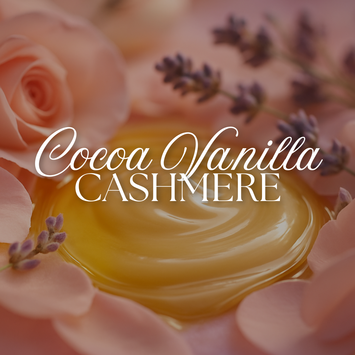 Cocoa Vanilla Cashmere Collection
