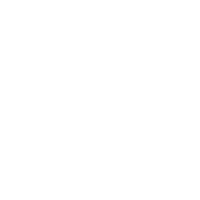 YOU SHARE YOUR VISION