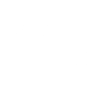 Spin the Wheel & Win Prizes
