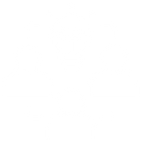 Team Building Experiences