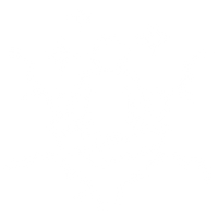Retreat Experiences